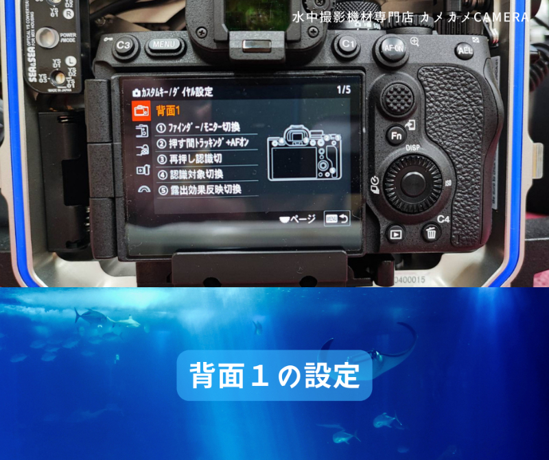 SONY α7R5を水中カメラとして使用する時のおすすめカスタマイズ設定 