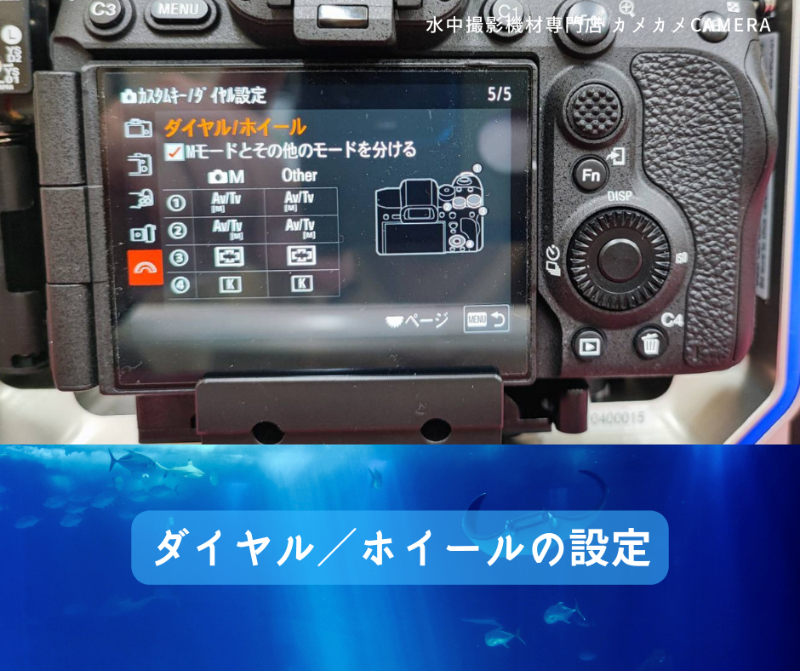 SONY α7R5を水中カメラとして使用する時のおすすめカスタマイズ