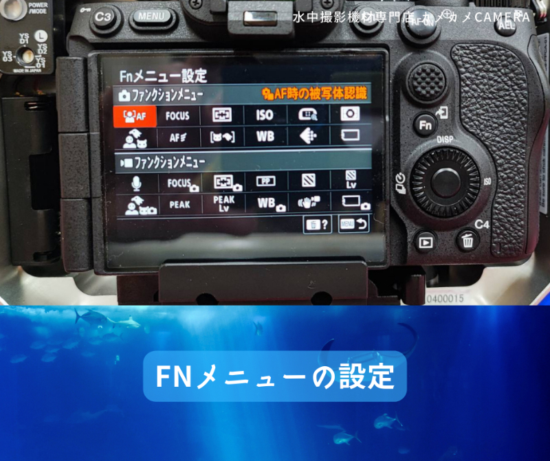 SONY α7R5を水中カメラとして使用する時のおすすめカスタマイズ設定 ・・・カメカメCAMERA